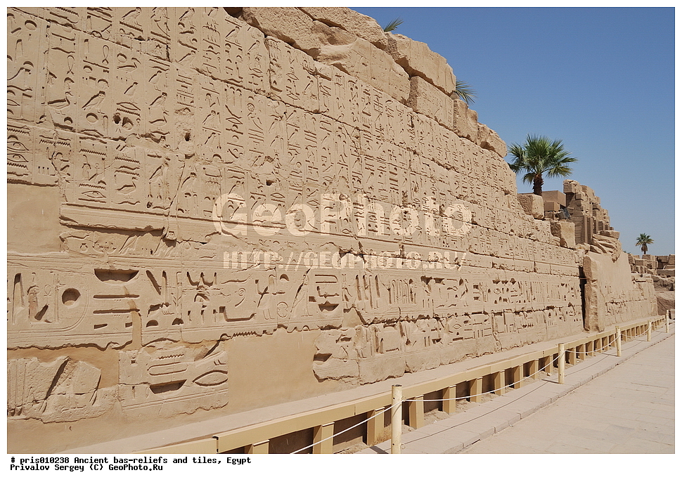  �������� �����������, ������������ �����, �����������,  ������, �������