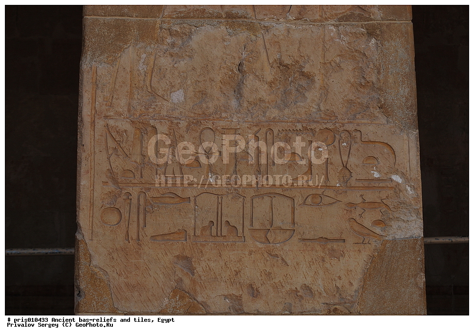 ���� ���������, �������-������, �������� �����������, ������������ �����, �����������,  ������, �������