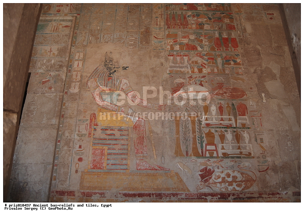  �������� �����������, ������������ �����, �����������,  ������, �������