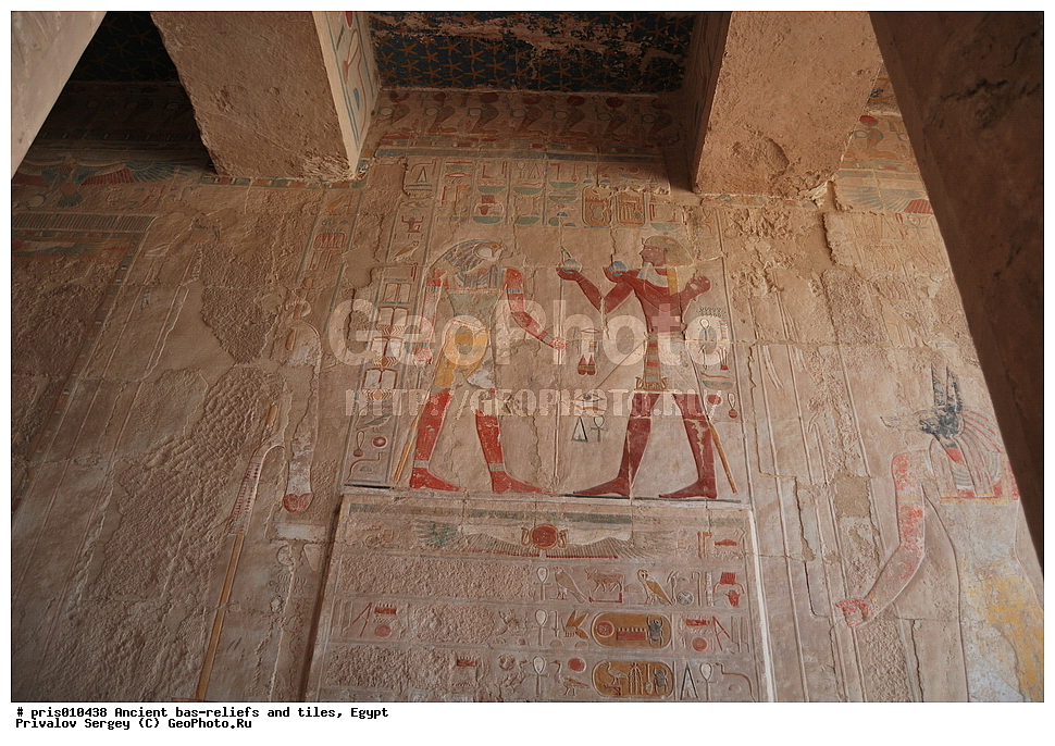  �������� �����������, ������������ �����, �����������,  ������, �������