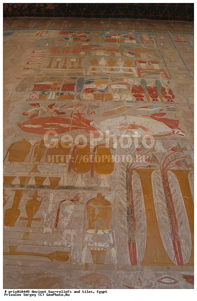  �������� �����������, ������������ �����, �����������,  ������, �������