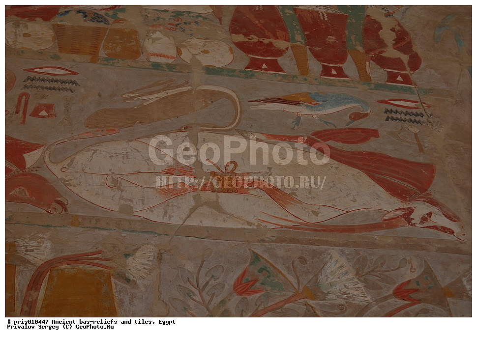  �������� �����������, ������������ �����, �����������,  ������, �������