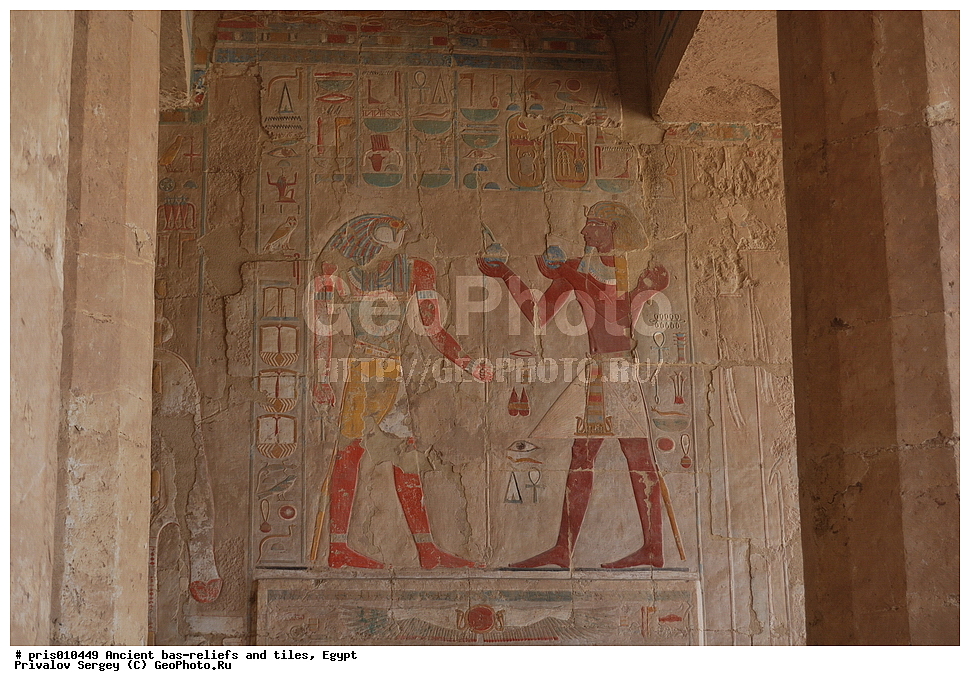  �������� �����������, ������������ �����, �����������,  ������, �������