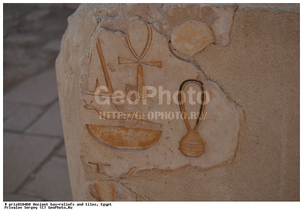  �������� �����������, ������������ �����, �����������,  ������, �������