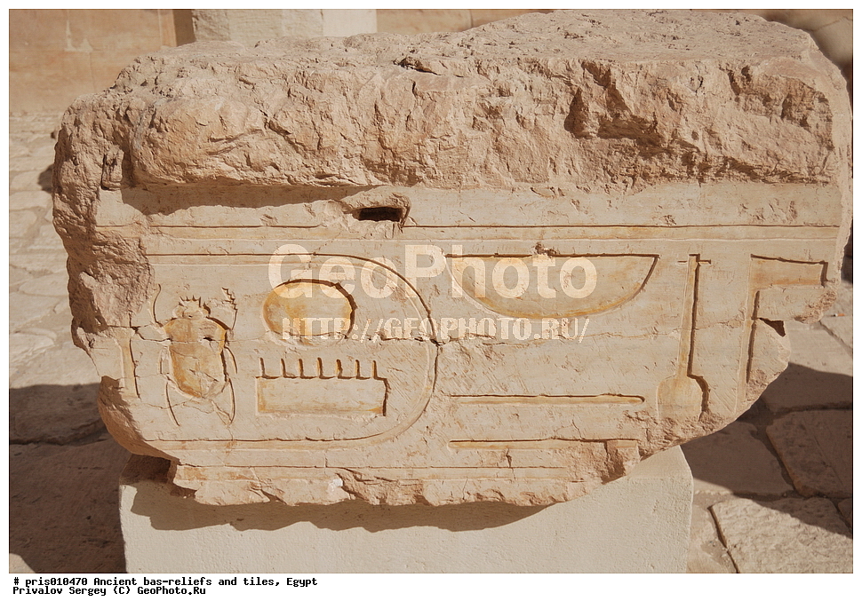  �������� �����������, ������������ �����, �����������,  ������, �������