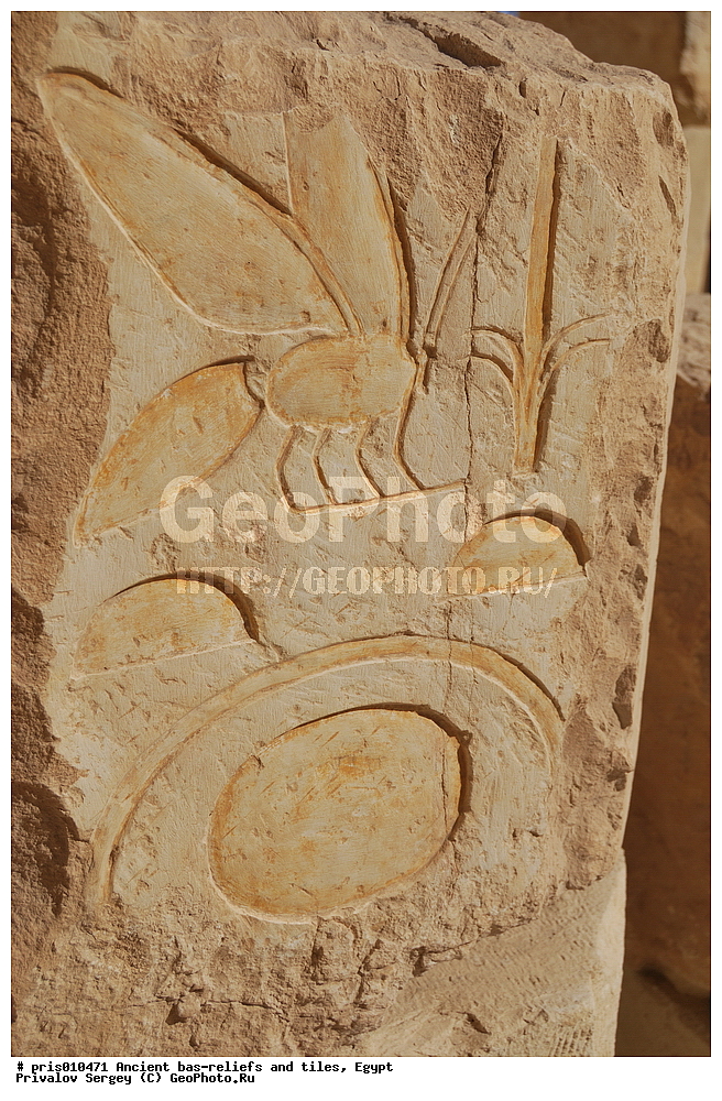 ���� ���������, �������-������, �������� �����������, ������������ �����, �����������,  ������, �������