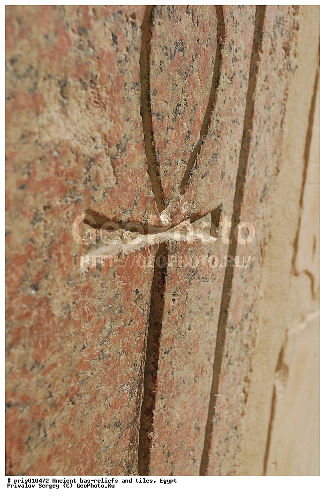  �������� �����������, ������������ �����, �����������,  ������, �������