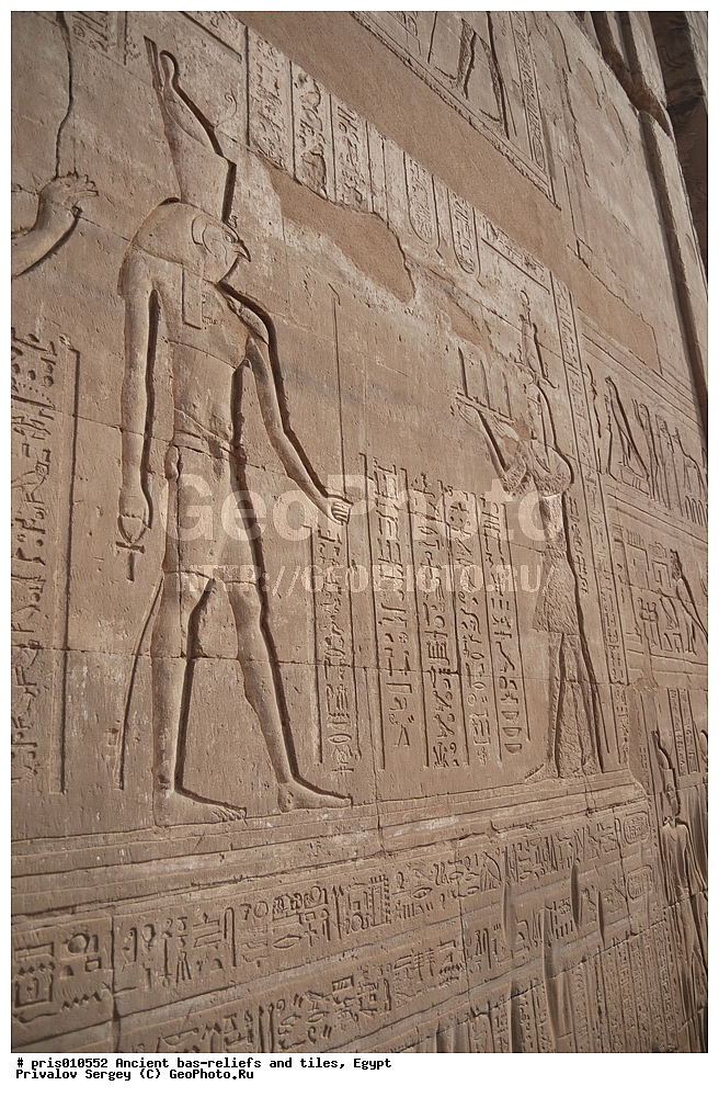 ���� ����, ����, ��������, �������� �����������, ������������ �����, �����������,  ������, �������