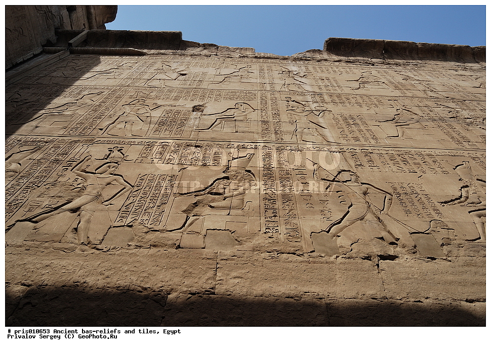  �������� �����������, ������������ �����, �����������,  ������, �������