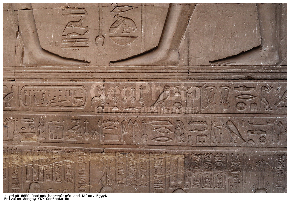  �������� �����������, ������������ �����, �����������,  ������, �������