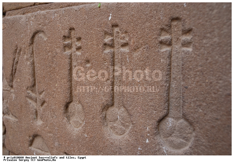  �������� �����������, ������������ �����, �����������,  ������, �������