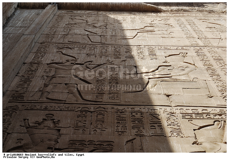  �������� �����������, ������������ �����, �����������,  ������, �������