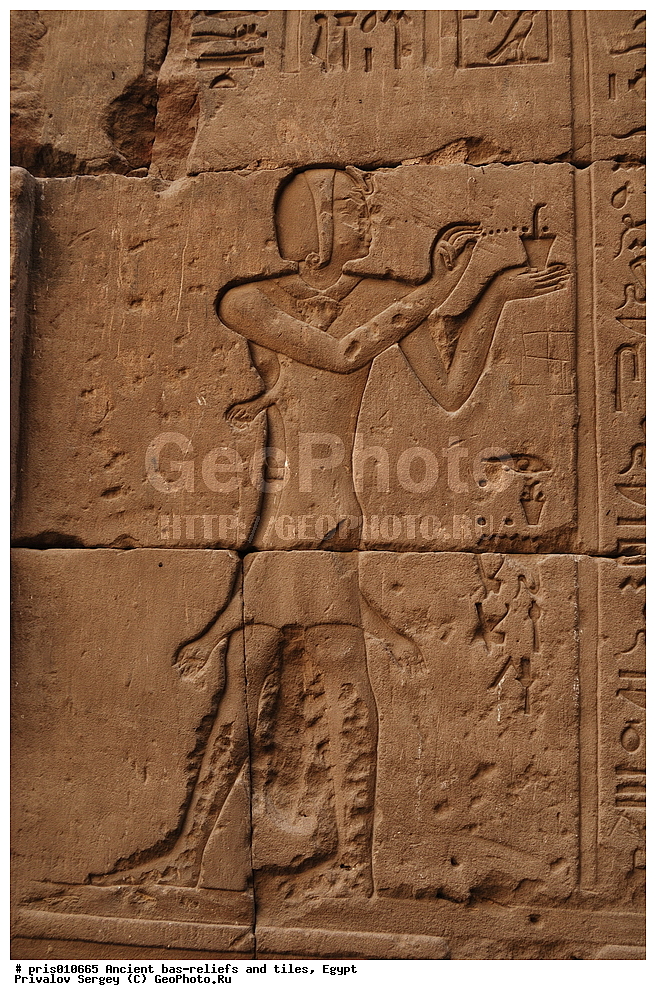  �������� �����������, ������������ �����, �����������,  ������, �������