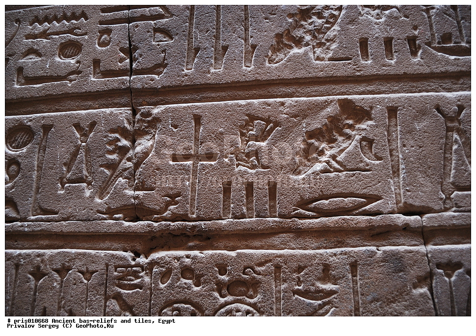 ���� ��������, ����, �������� �����������, ������������ �����, �����������,  ������, �������