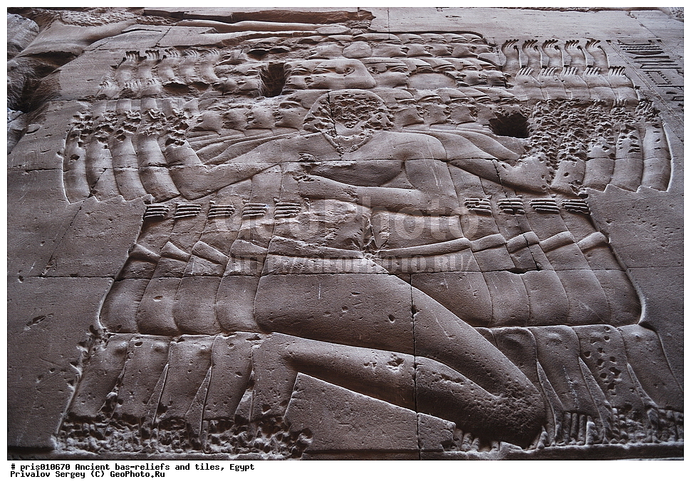 ���� ��������, ����, �������� �����������, ������������ �����, �����������,  ������, �������