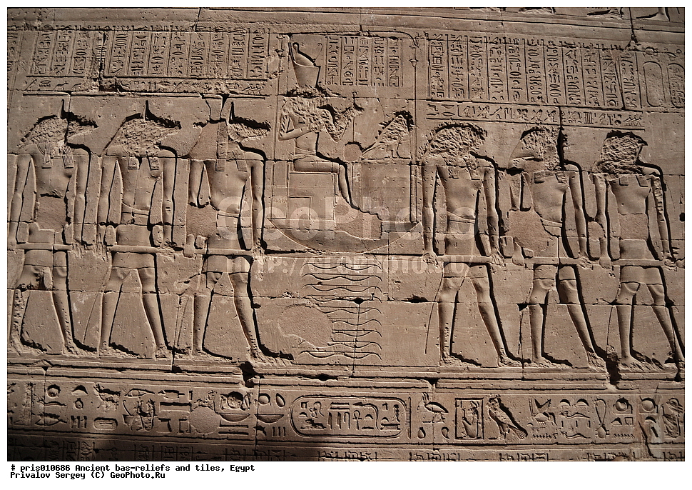  �������� �����������, ������������ �����, �����������,  ������, �������