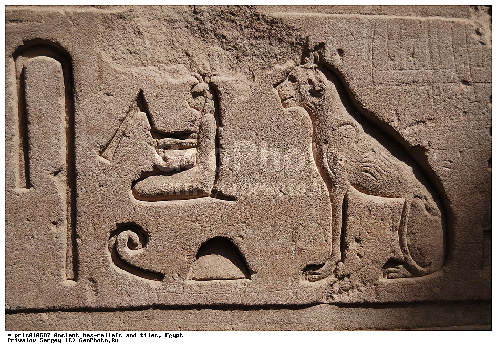  �������� �����������, ������������ �����, �����������,  ������, �������