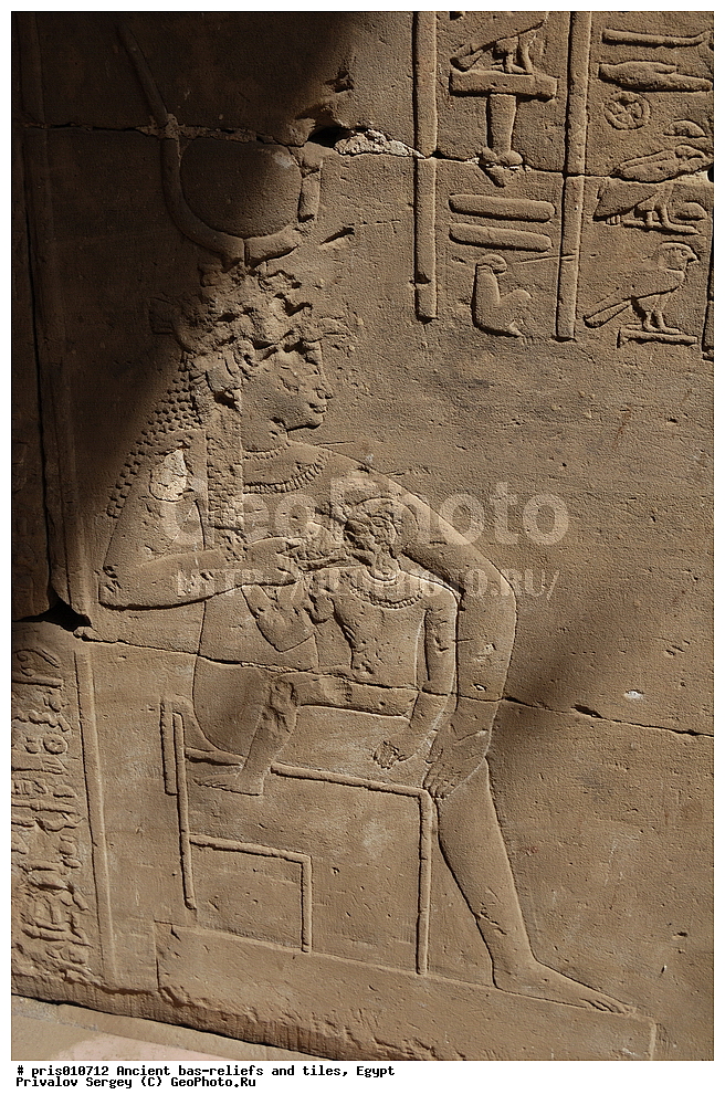  �������� �����������, ������������ �����, �����������,  ������, �������