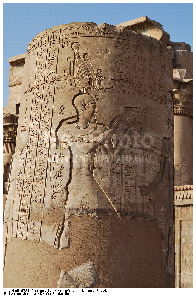  �������� �����������, ������������ �����, �����������,  ������, �������