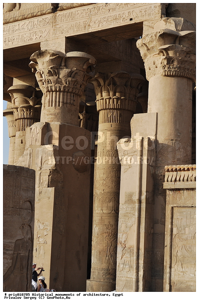  �������� �����������, ������������ �����, �����������,  ������, �������