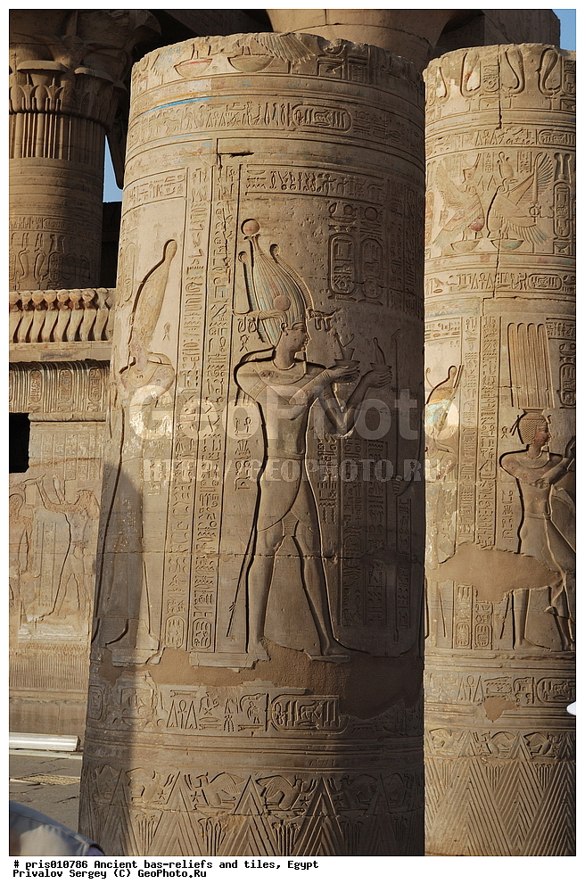  �������� �����������, ������������ �����, �����������,  ������, �������