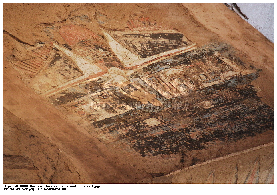  �������� �����������, ������������ �����, �����������,  ������, �������