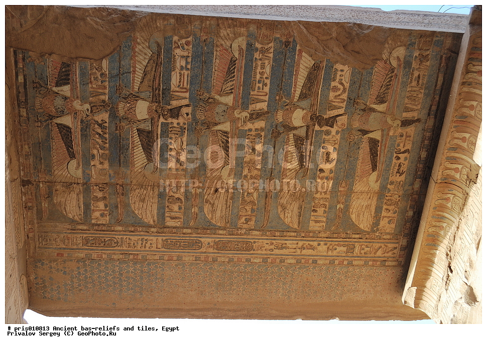  �������� �����������, ������������ �����, �����������,  ������, �������