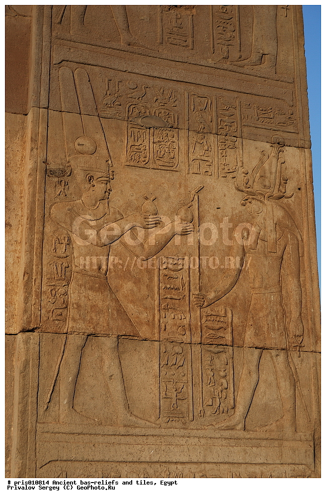 �������� �����������, ������������ �����, �����������,  ������, �������, ���-����, 191-146 ��. �� �.�.