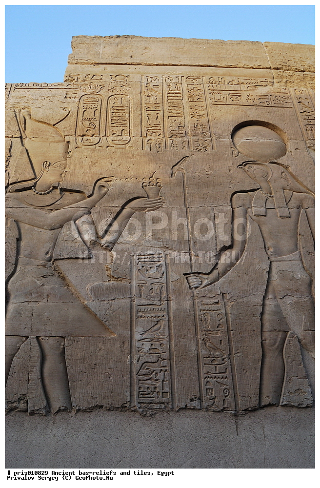  �������� �����������, ������������ �����, �����������,  ������, �������