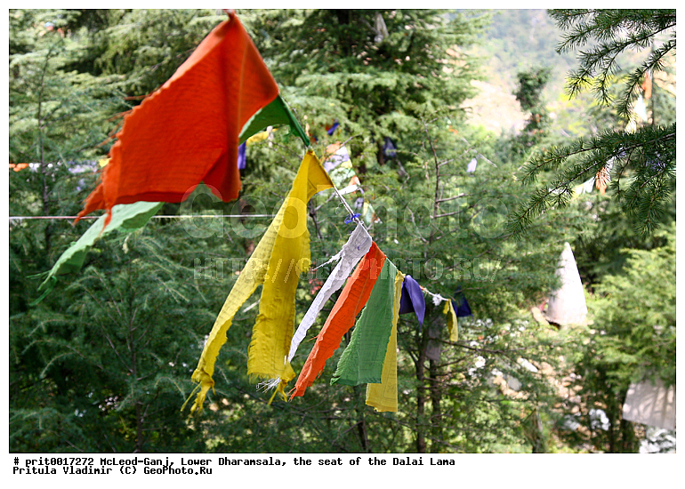 �����, �������-������, �������-�����, ������� ��������, ���������� ����� ����, ��������� ���������