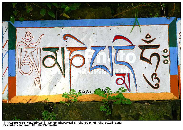 �����, �������-������, �������-�����, ������� ��������, ���������� ����� ����, ��������� ���������