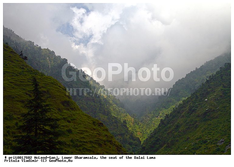 �����, �������-������, �������-�����, ������� ��������, ���������� ����� ����, ��������� ���������