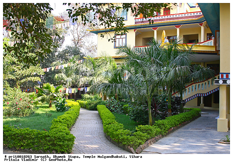 �������, ����� ������, ���� ��������������, ������