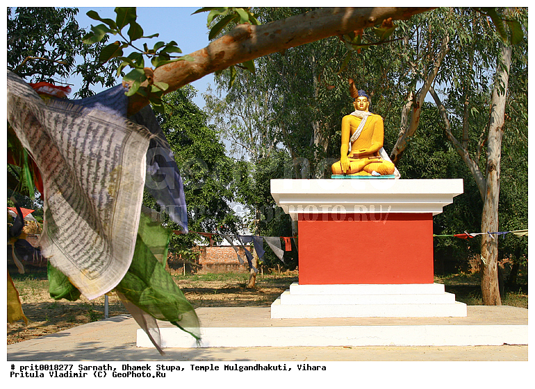 �������, ����� ������, ���� ��������������, ������