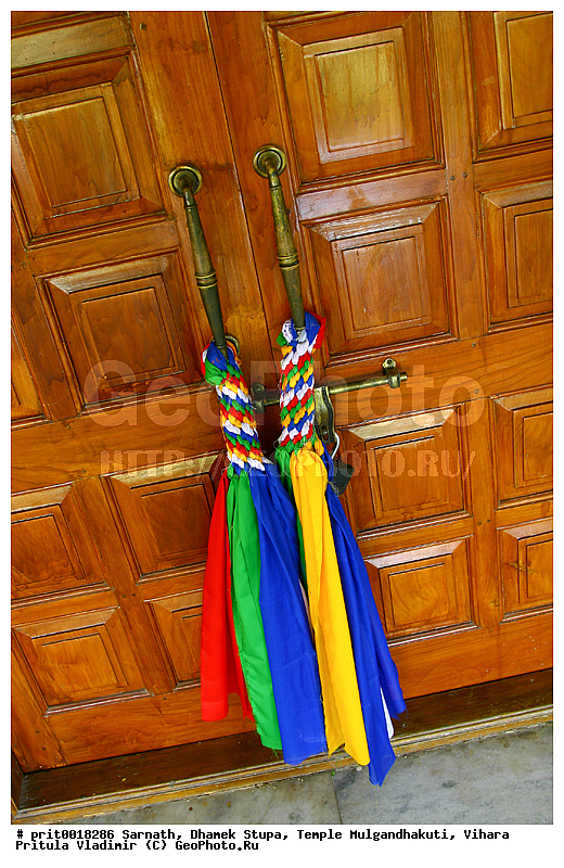 �������, ����� ������, ���� ��������������, ������