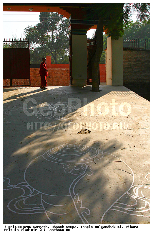 �������, ����� ������, ���� ��������������, ������