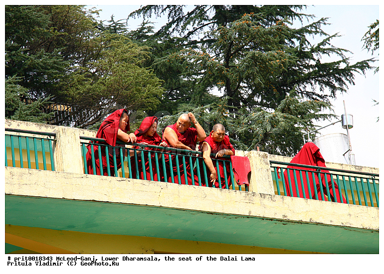 �����, �������-������, �������-�����, ������� ��������, ���������� ����� ����, ��������� ���������