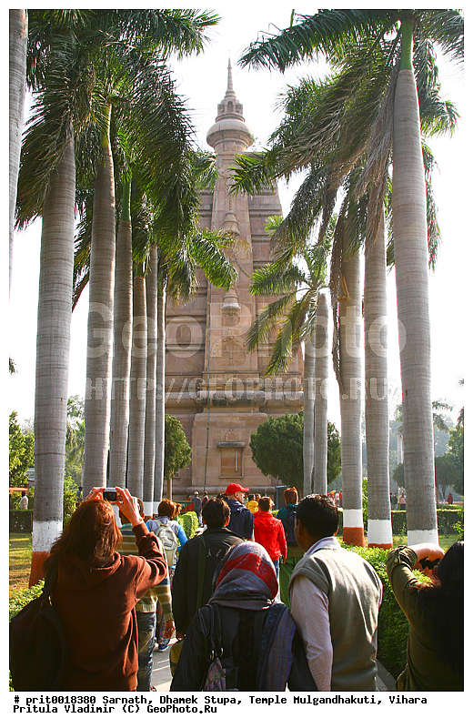 �������, ����� ������, ���� ��������������, ������