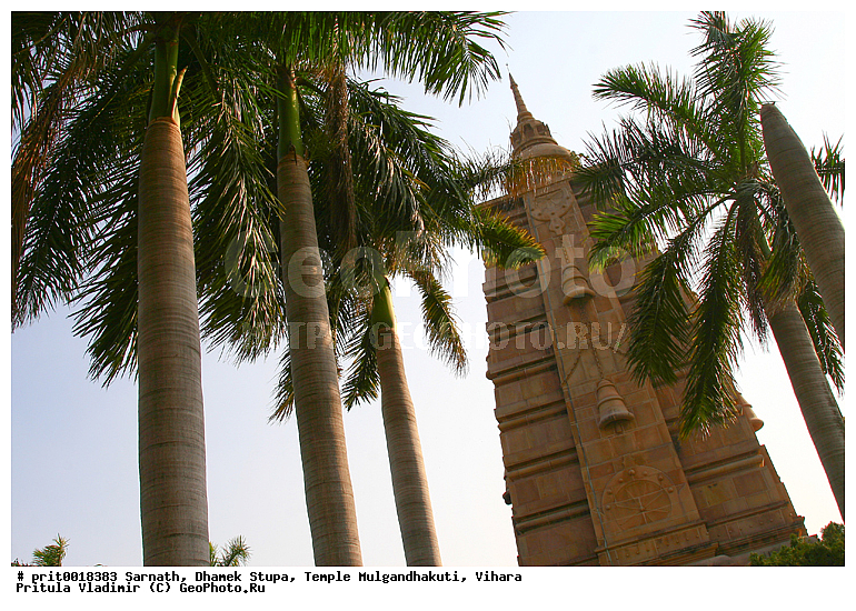 �������, ����� ������, ���� ��������������, ������