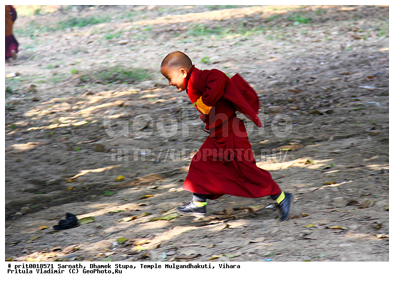 �������, ����� ������, ���� ��������������, ������