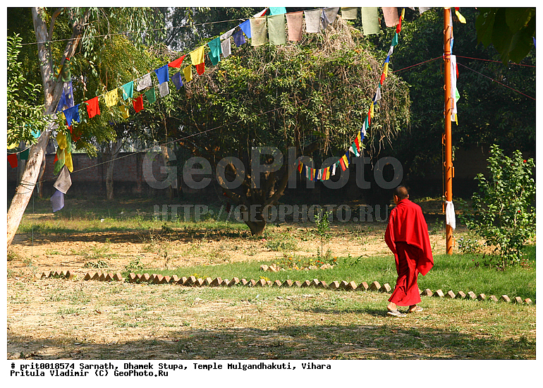 �������, ����� ������, ���� ��������������, ������