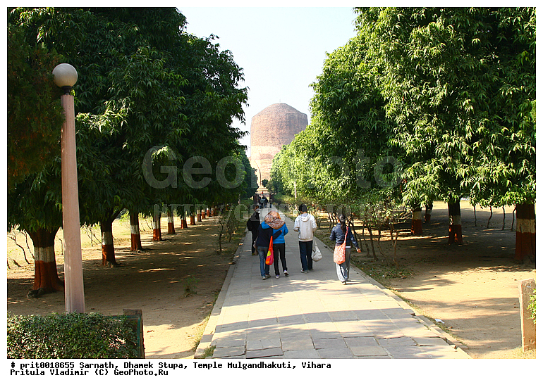 �������, ����� ������, ���� ��������������, ������