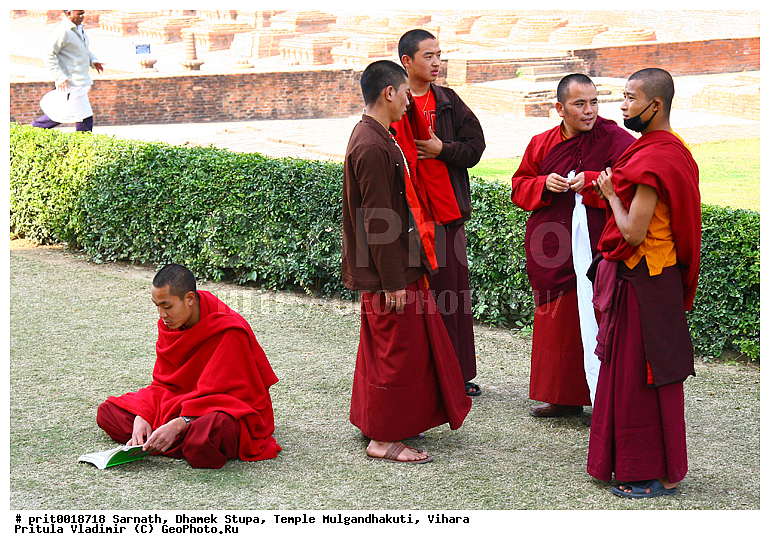 �������, ����� ������, ���� ��������������, ������