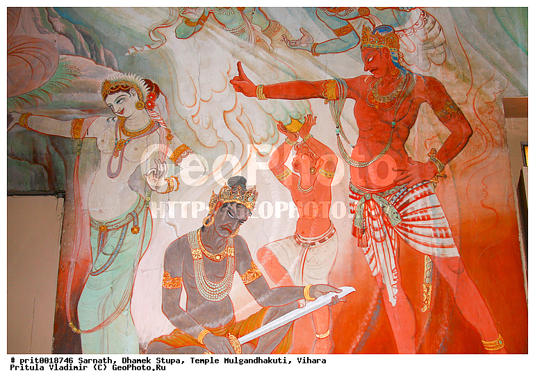 �������, ����� ������, ���� ��������������, ������