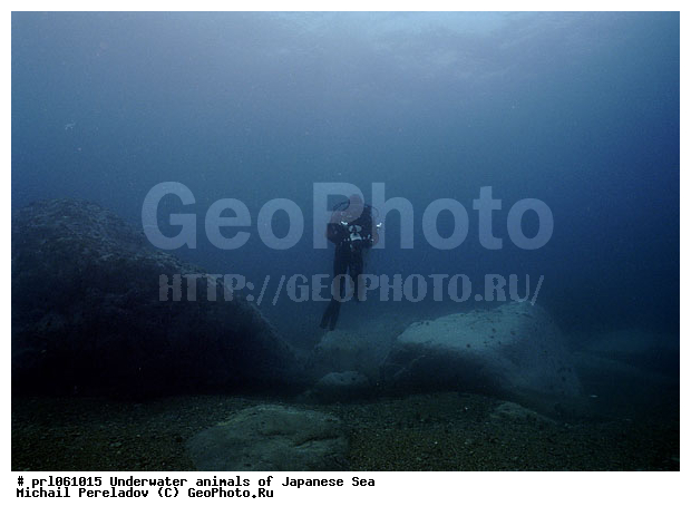 �������� ����, ��������������, ���������