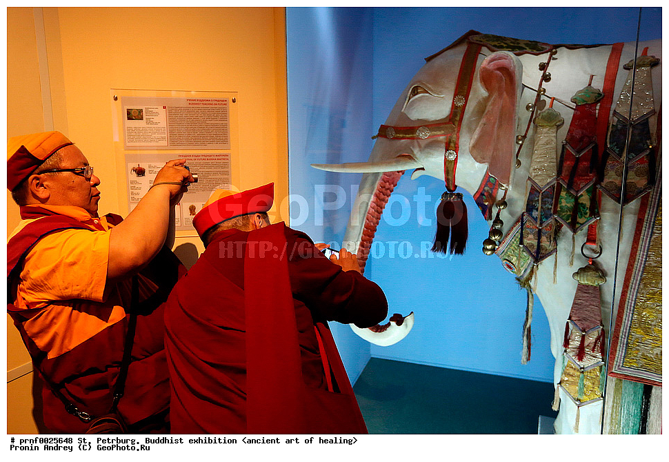 �������, �������, ��������, �����, ����������, ��������, ���������, �����-���������



