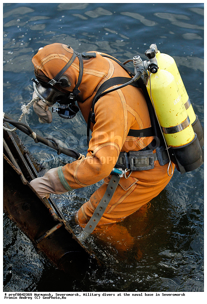 diver, frogman, ��������, �����������, �����������, �����, �������, �������-���������, �����������, ������ ��������, ������ ��������, ��������� ��������, ����� ���������, ������ ���������