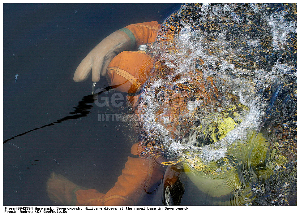 diver, frogman, ��������, �����������, �����������, �����, �������, �������-���������, �����������, ������ ��������, ������ ��������, ��������� ��������, ����� ���������, ������ ���������