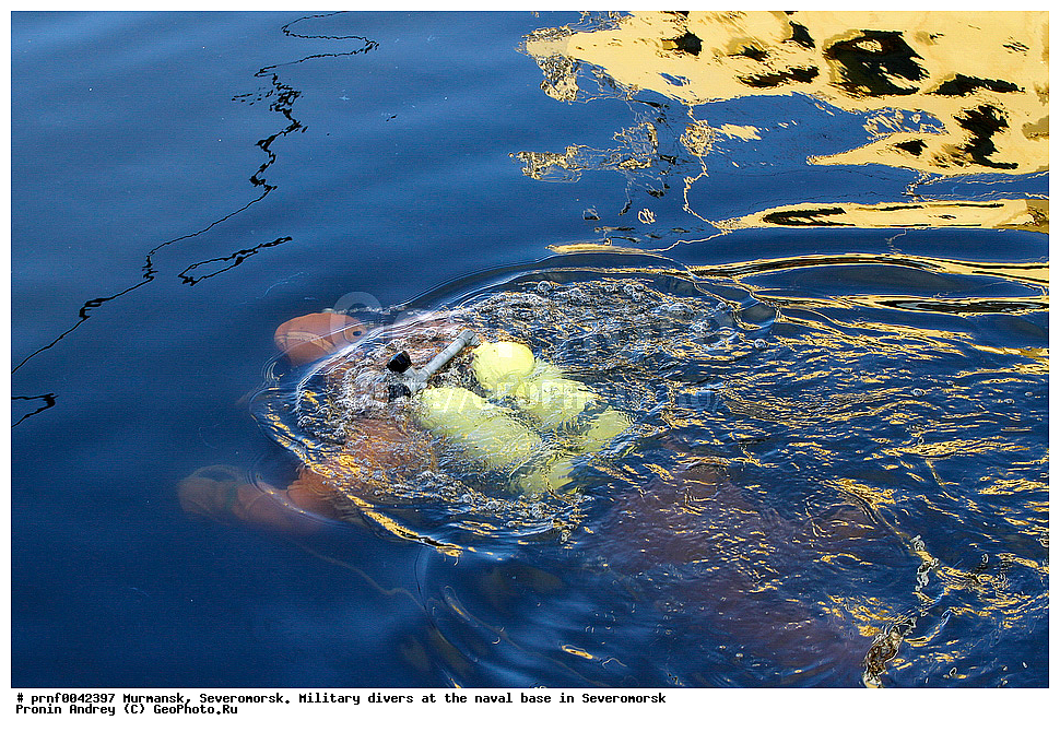 diver, frogman, ��������, �����������, �����������, �����, �������, �������-���������, �����������, ������ ��������, ������ ��������, ��������� ��������, ����� ���������, ������ ���������