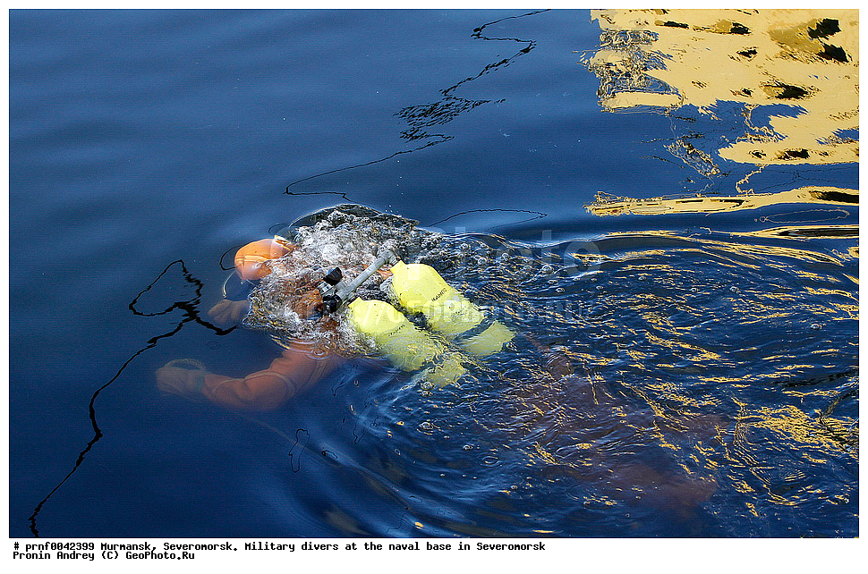 diver, frogman, ��������, �����������, �����������, �����, �������, �������-���������, �����������, ������ ��������, ������ ��������, ��������� ��������, ����� ���������, ������ ���������